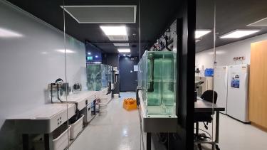Biotech Beauty Ingredients Revolutionize Natural Skincare