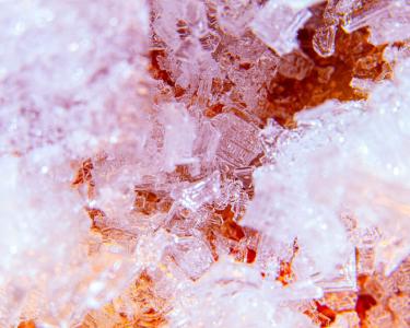 The Complete Guide to Natural Sunscreen Ingredients