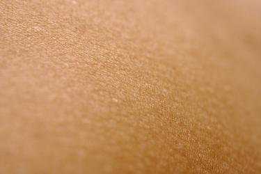Understanding Your Skin Barrier and How to Protect It
